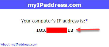 Check IP online