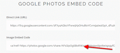 Google Photos Embed Code